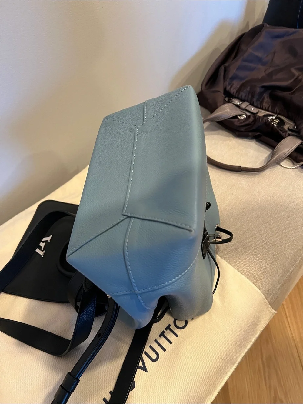 Louis Vuitton handle louis