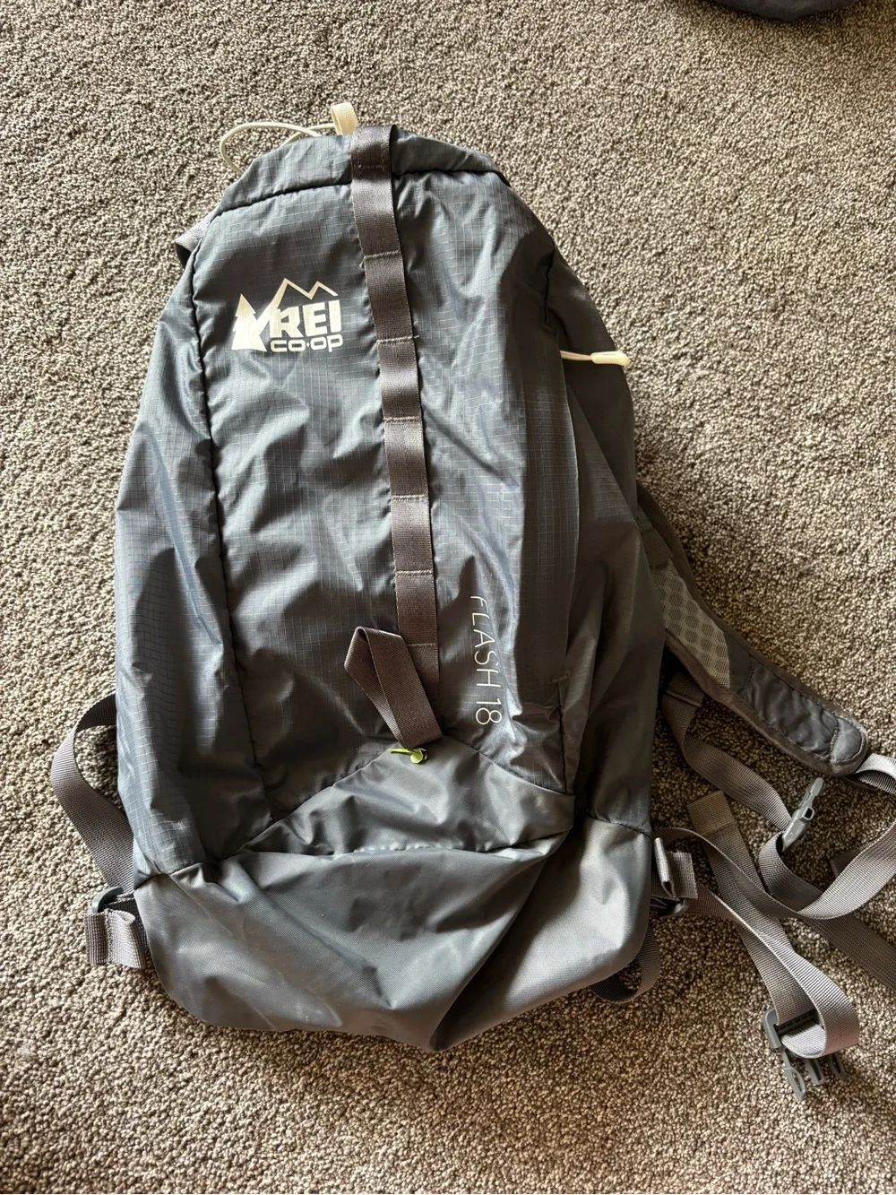 REI Flash 18 pack