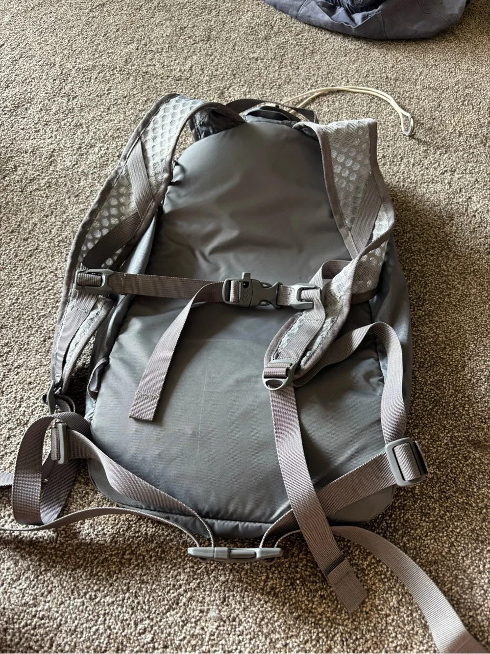 REI Flash 18 pack