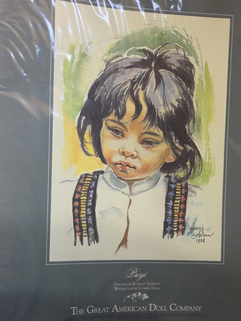 Suzi And Puyi Native American Great American Doll Company With Signed Photo