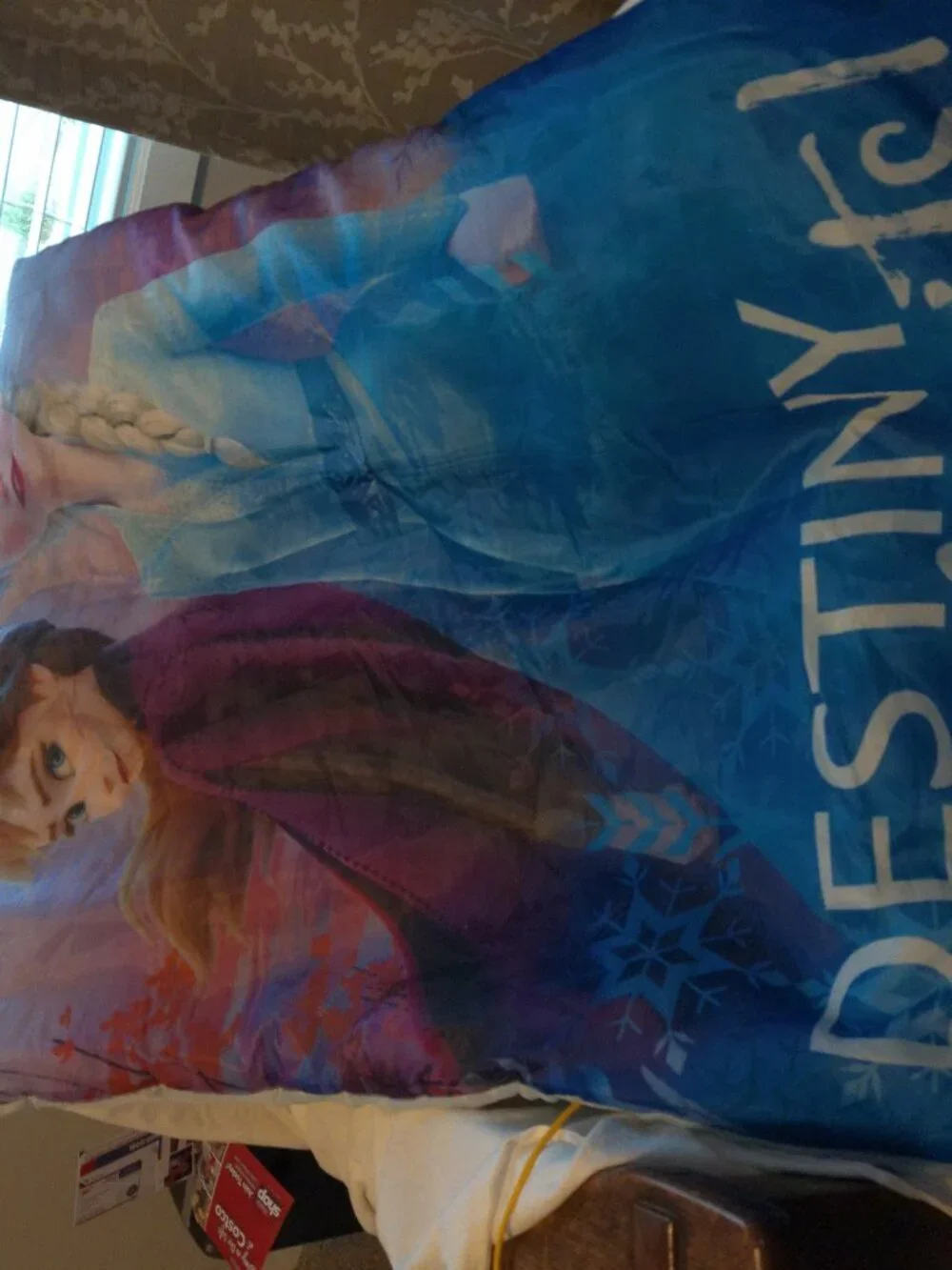Disney frozen ii