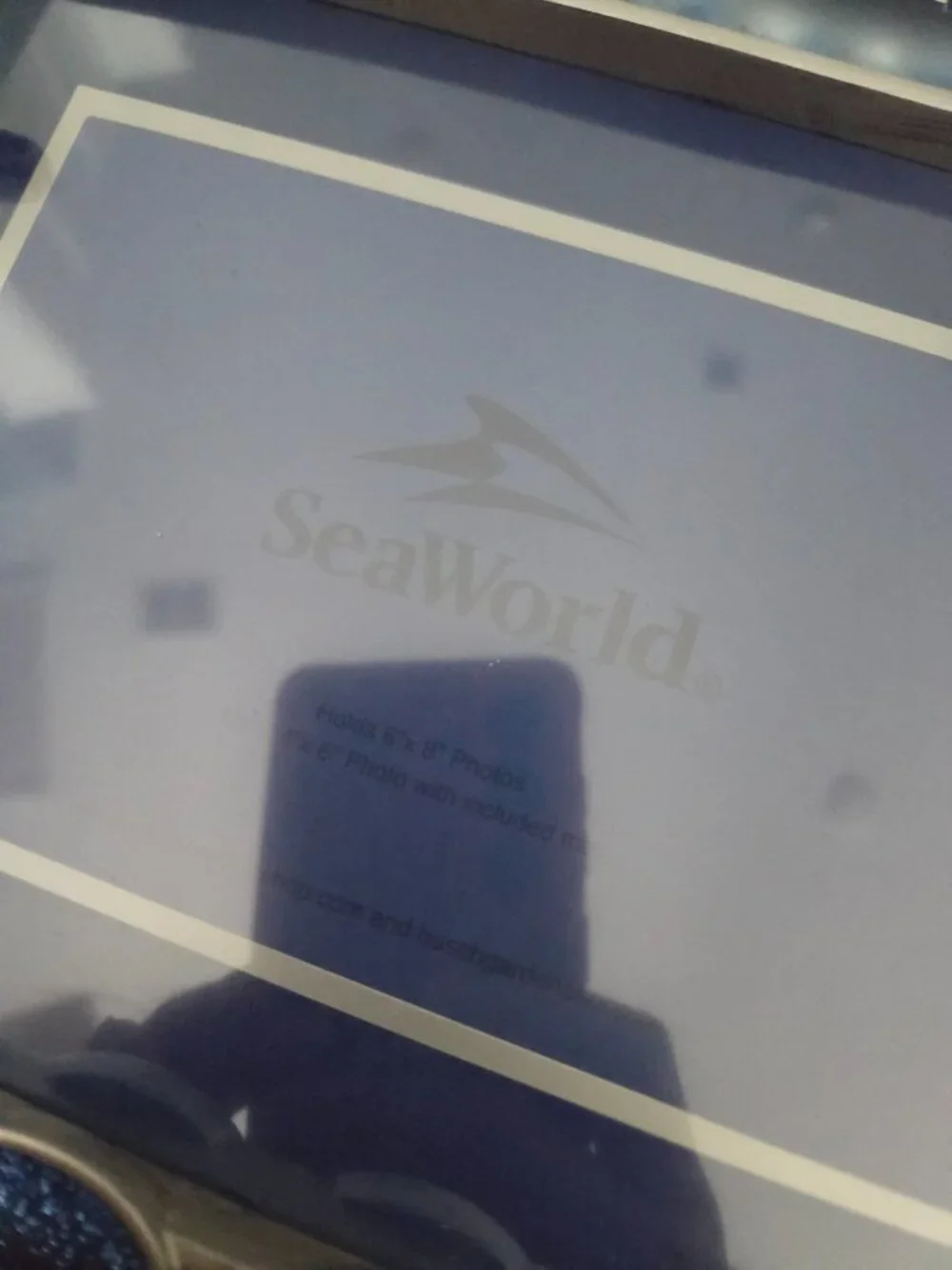 Sea World brand seaworld
