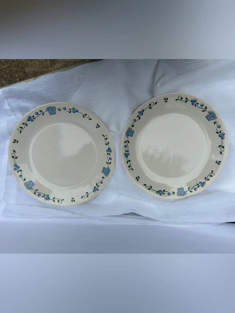 Corelle blueberry farmhouse