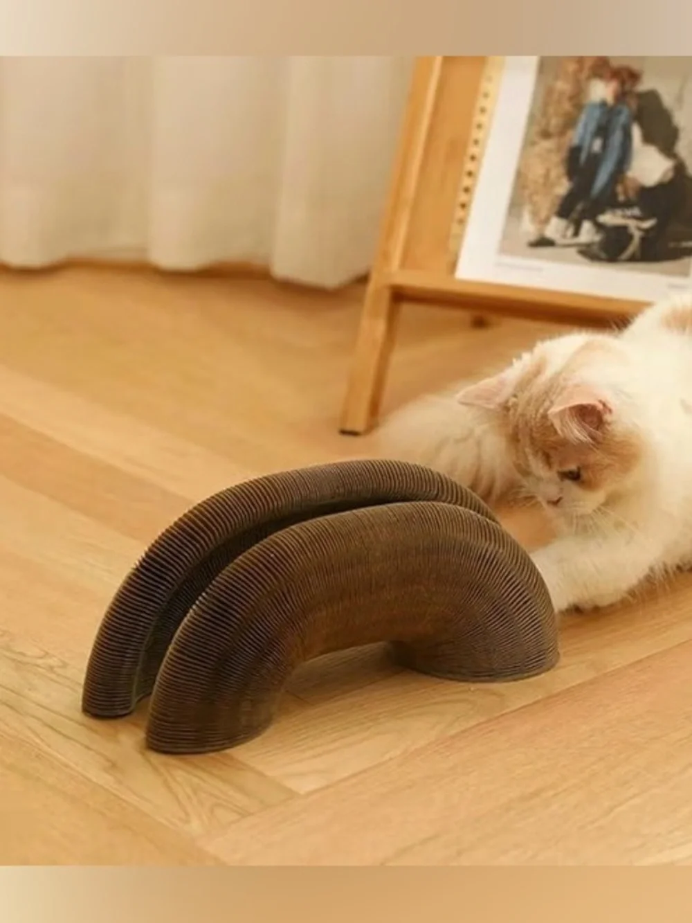 N/A interactive cat