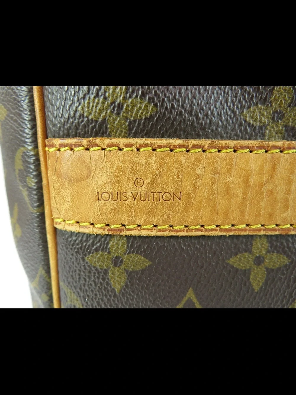 Louis Vuitton iconic louis