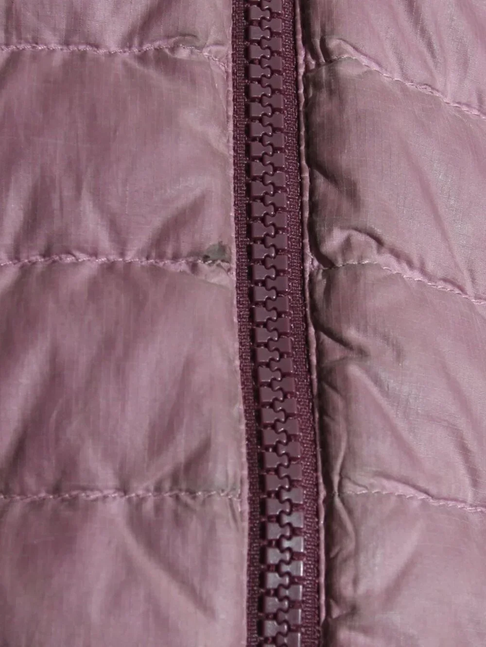 Patagonia *the size