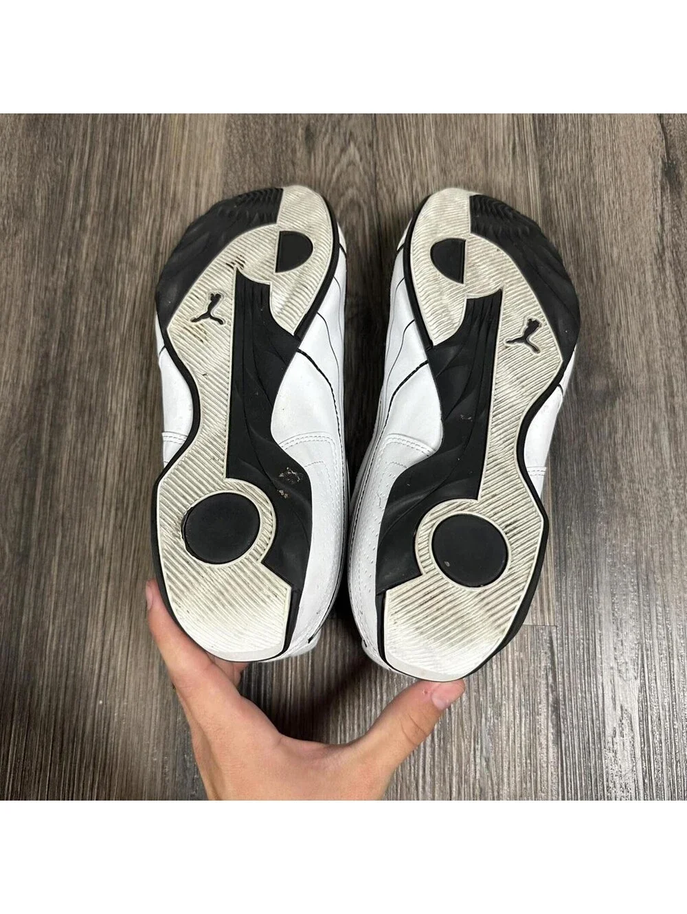 Puma redon bungee