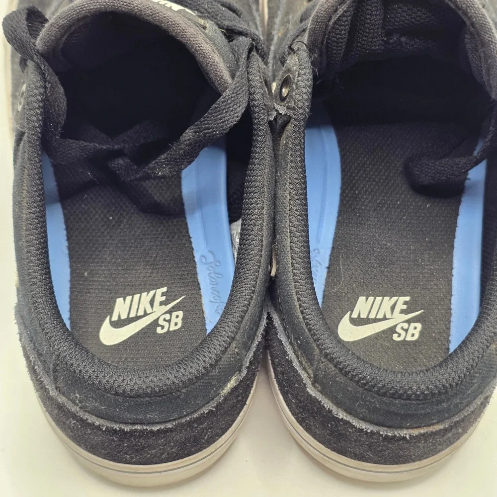 Nike sb chron