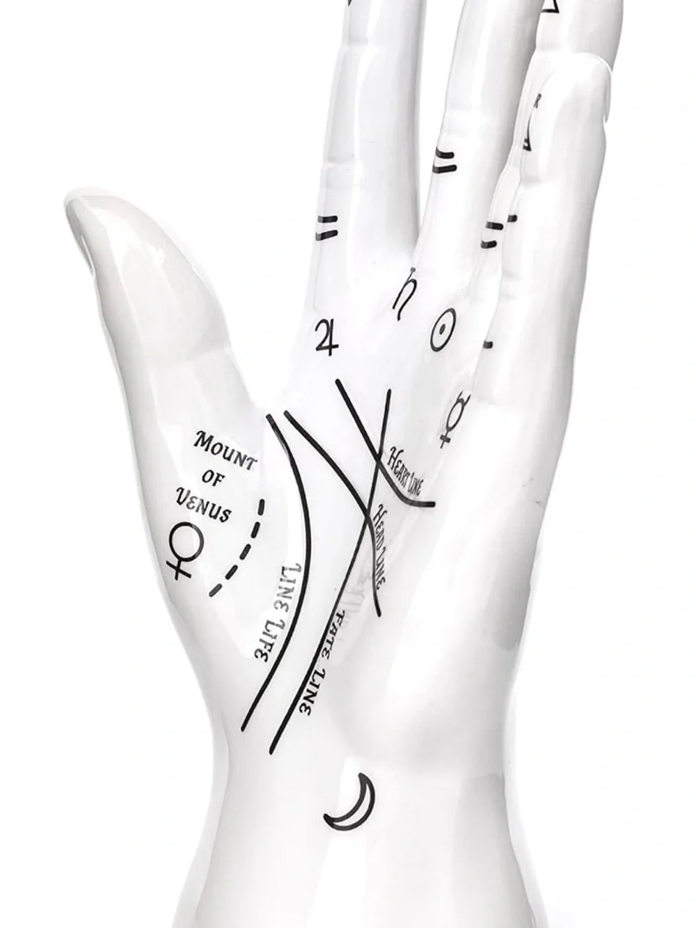 Kikkerland ceramic palm