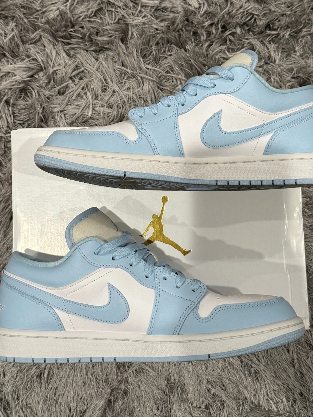Jordan low womens
