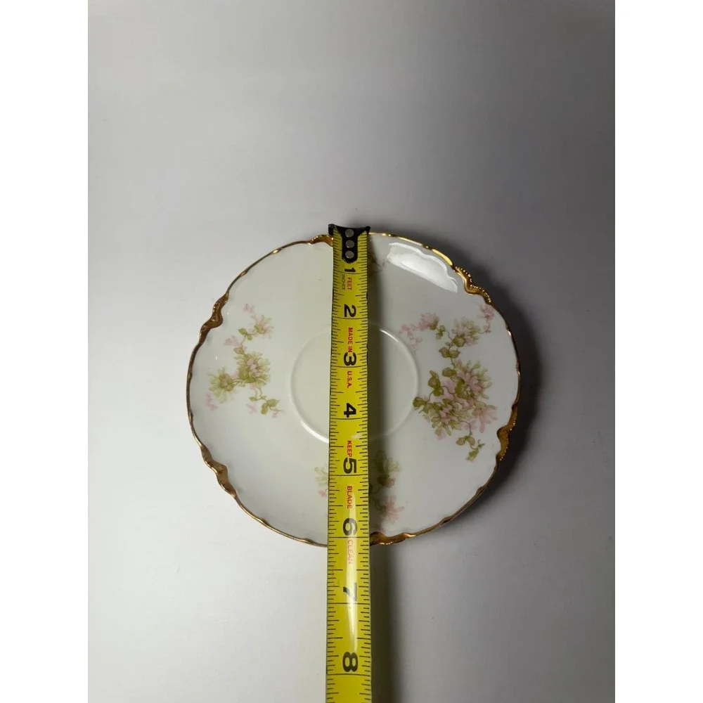 Haviland this set