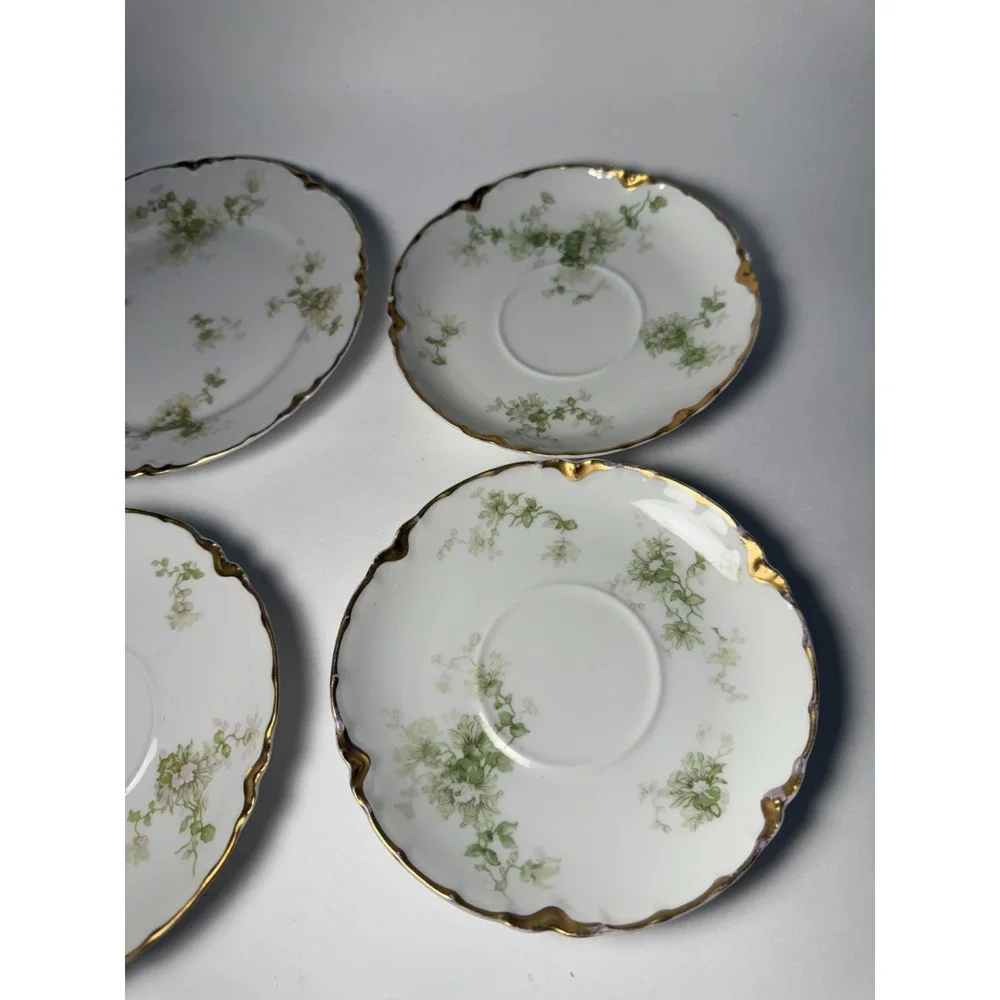 Haviland this set