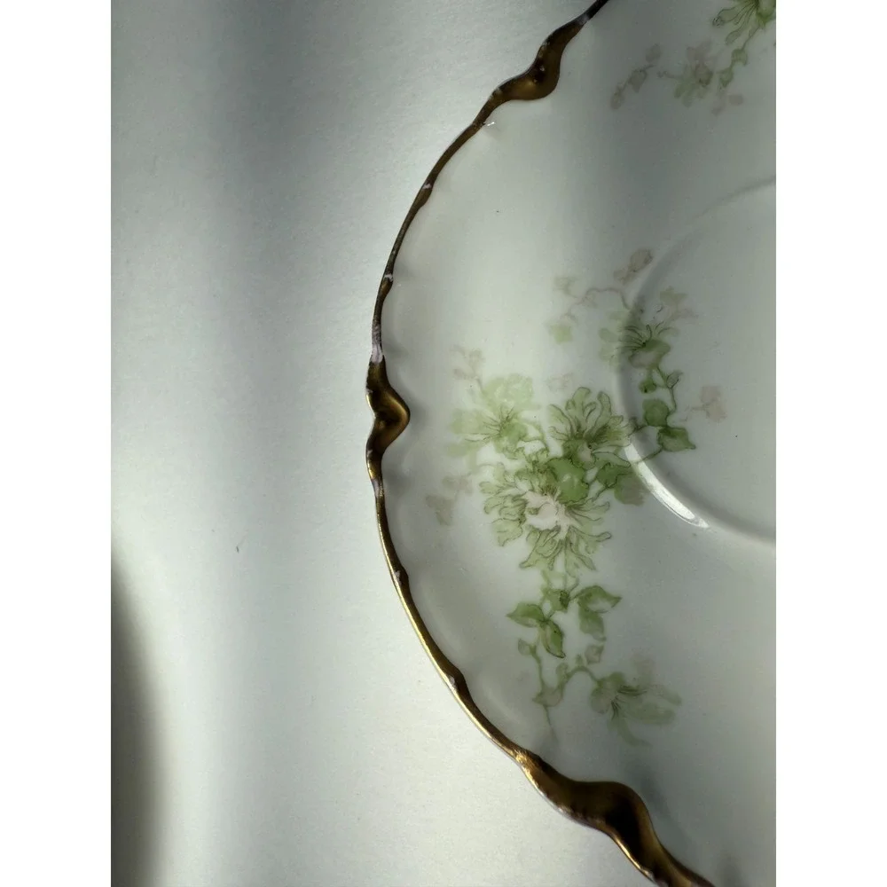 Haviland this set