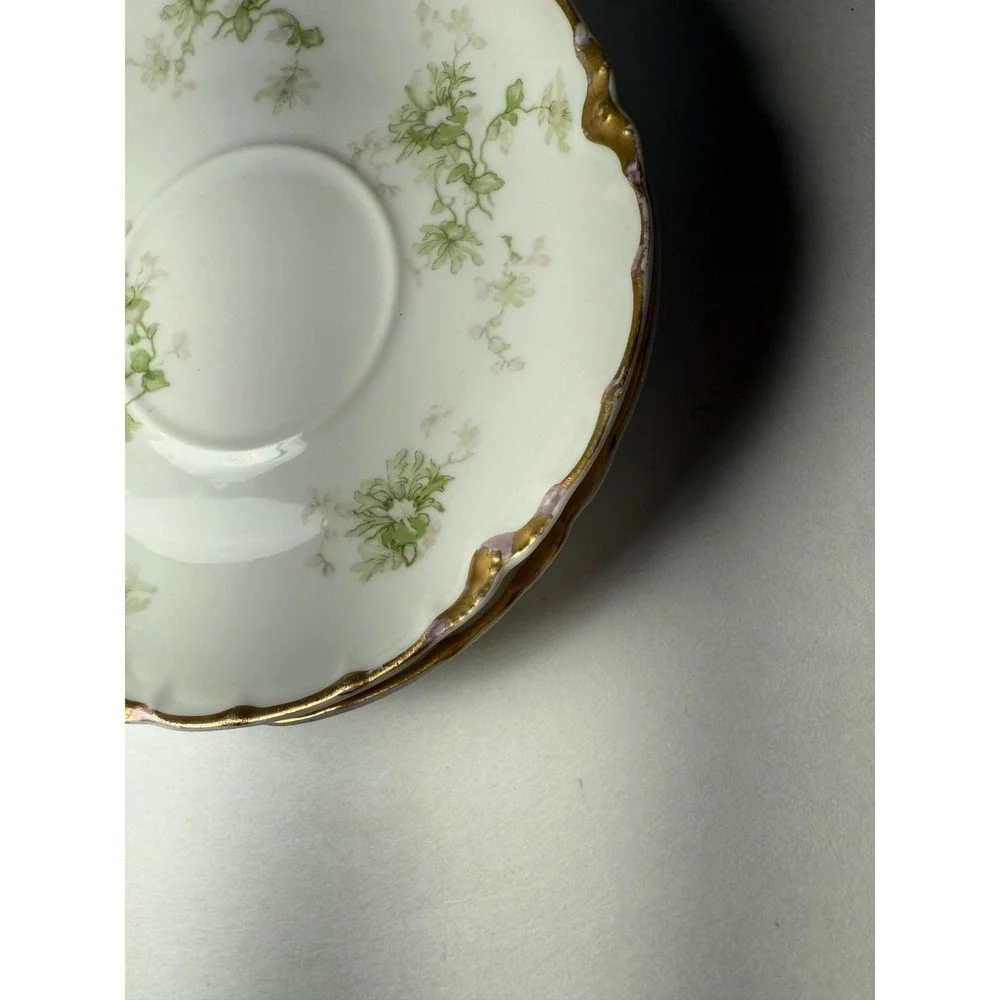 Haviland this set