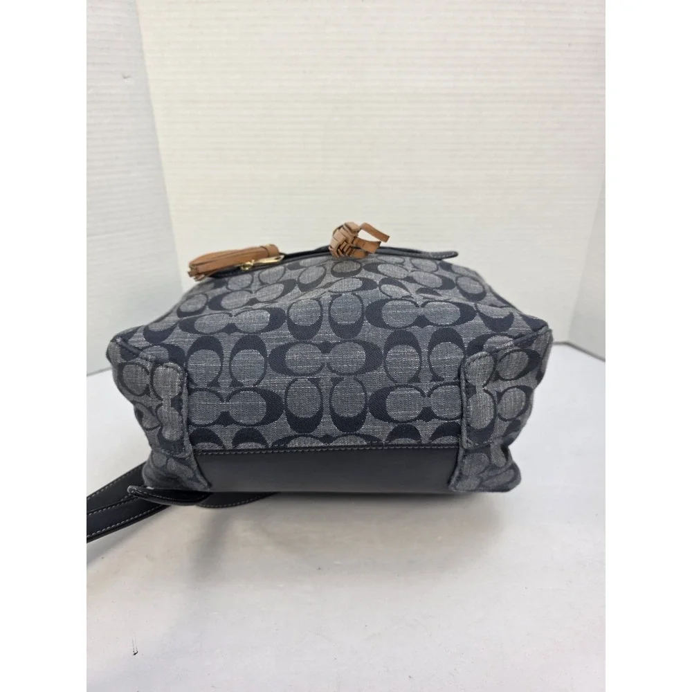 Coach kleo backpack