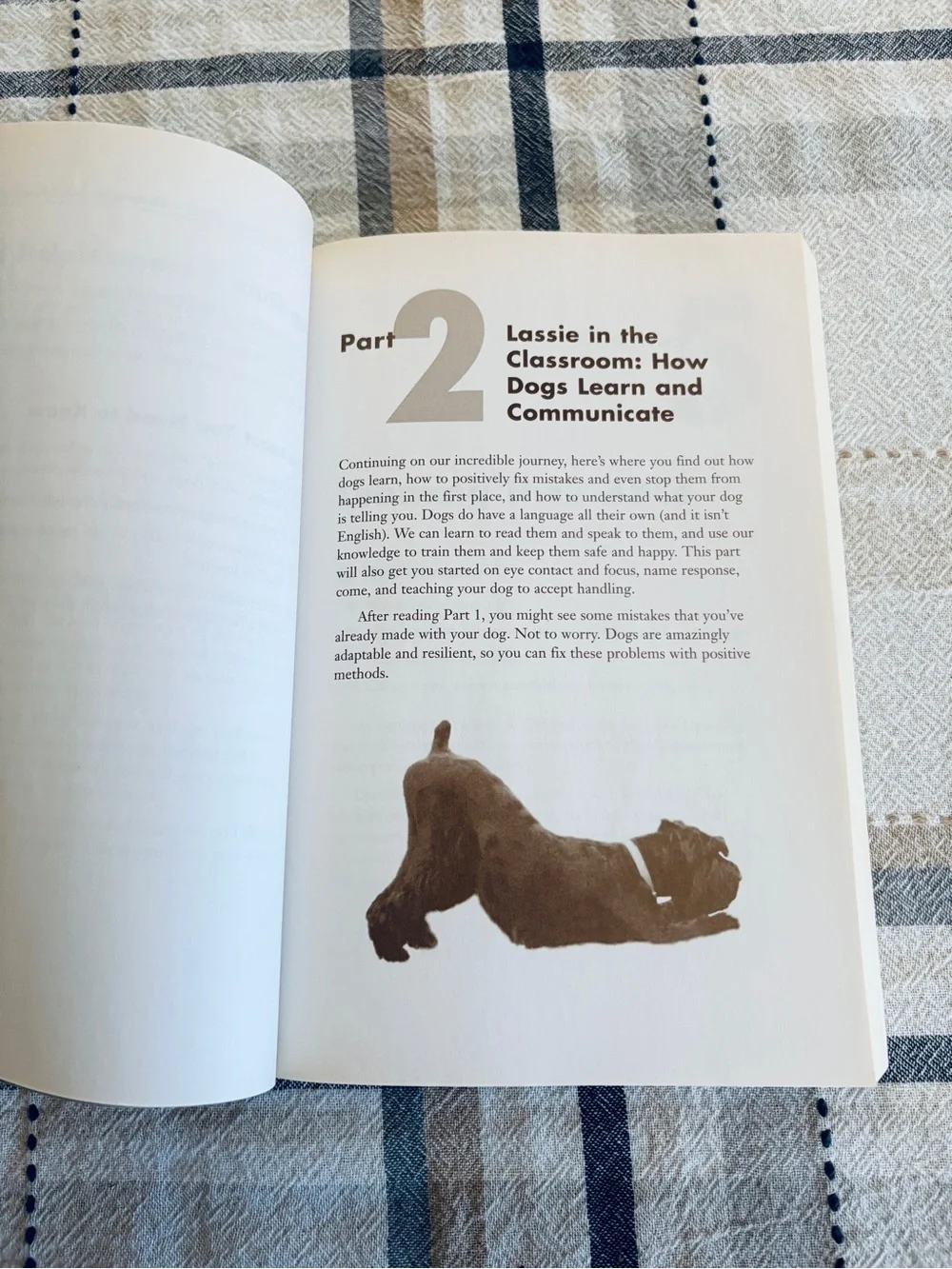 The Complete Idiots Guide to Positive Dog Training 2nd Edition 2005 Softcover