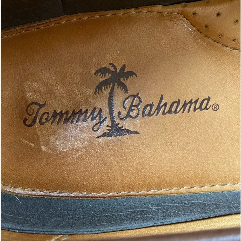 Tommy Bahama tommy bahama
