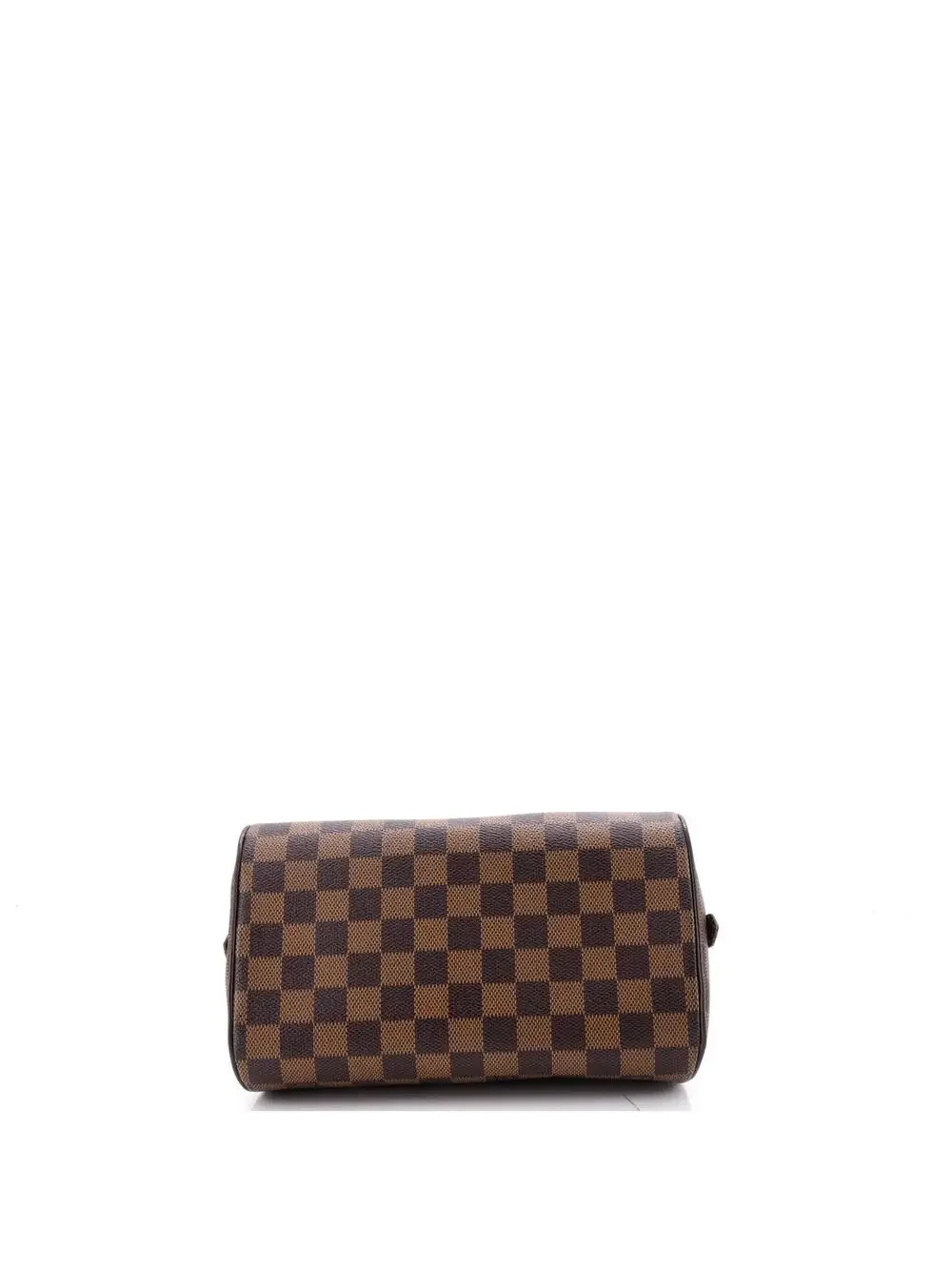 Louis Vuitton carry elevate chic