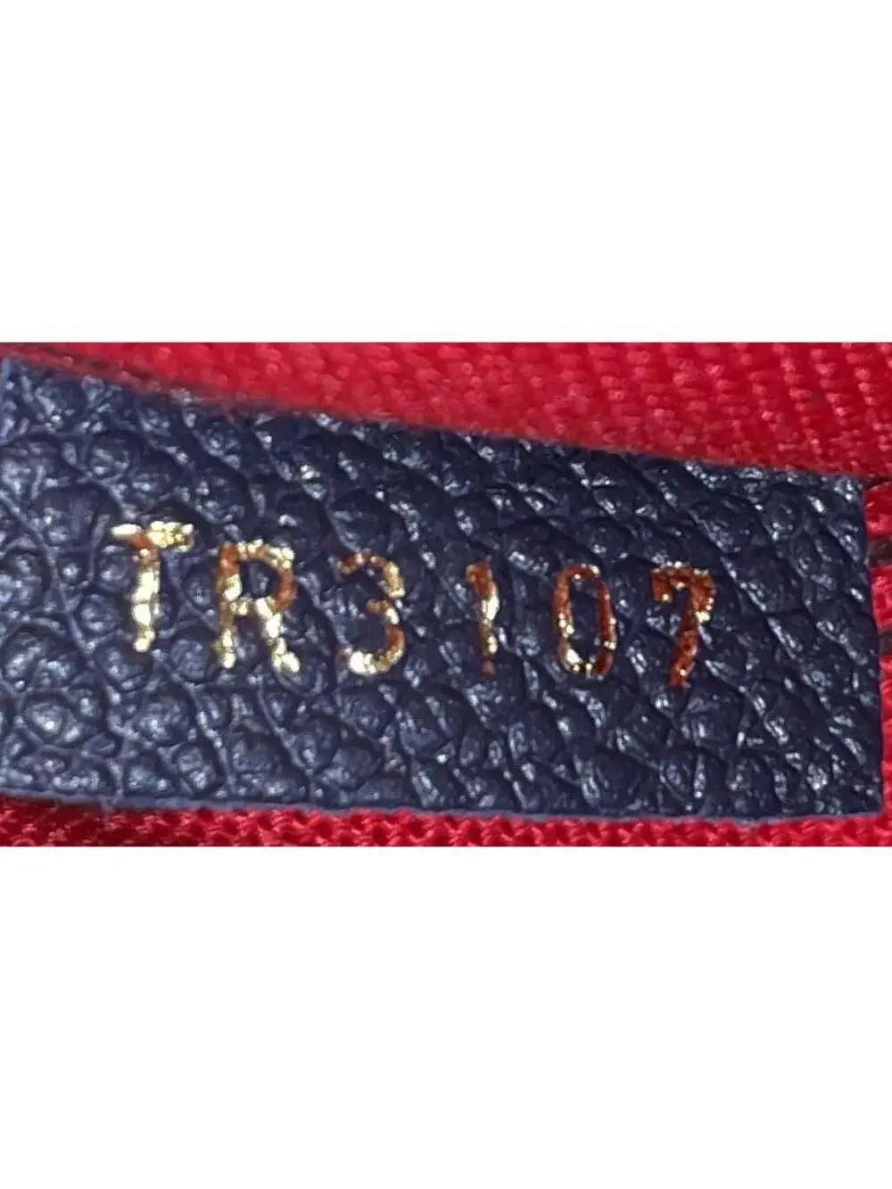 Louis Vuitton elevate your