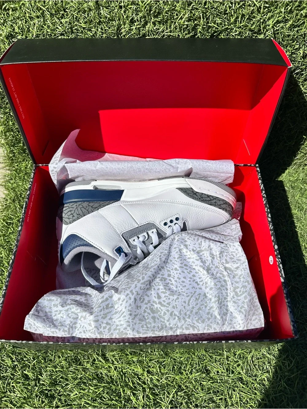 Nike air jordan