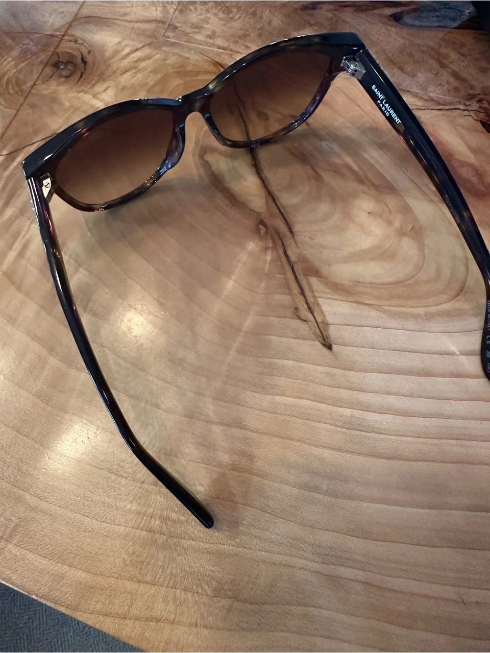 Saint Laurent elegant cat