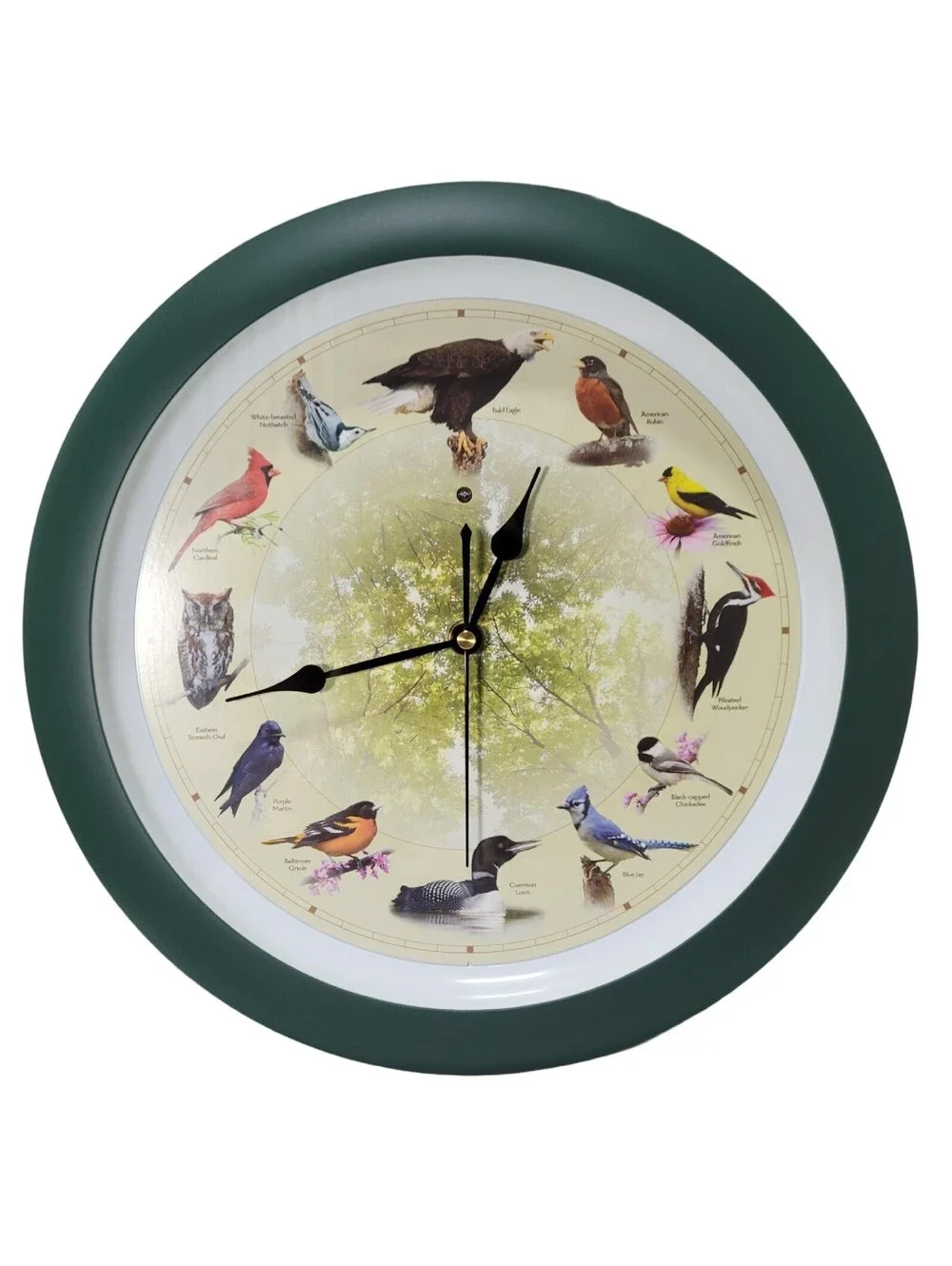 13 Inch Bird Song Wall Clock - Limited 20th Anniversary Model, Auto Dimmable