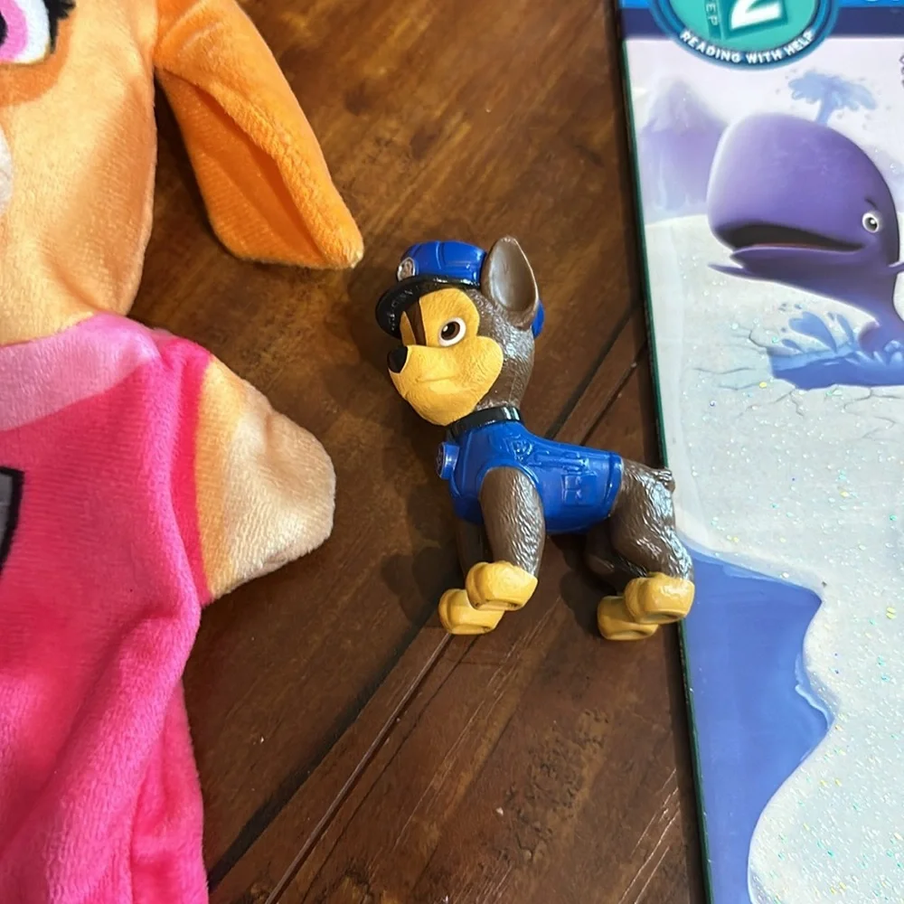Paw Patrol everything paw