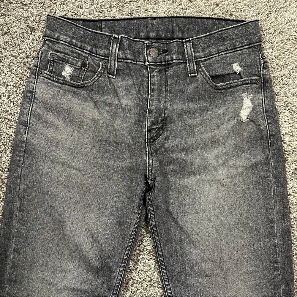 Levis brand levi