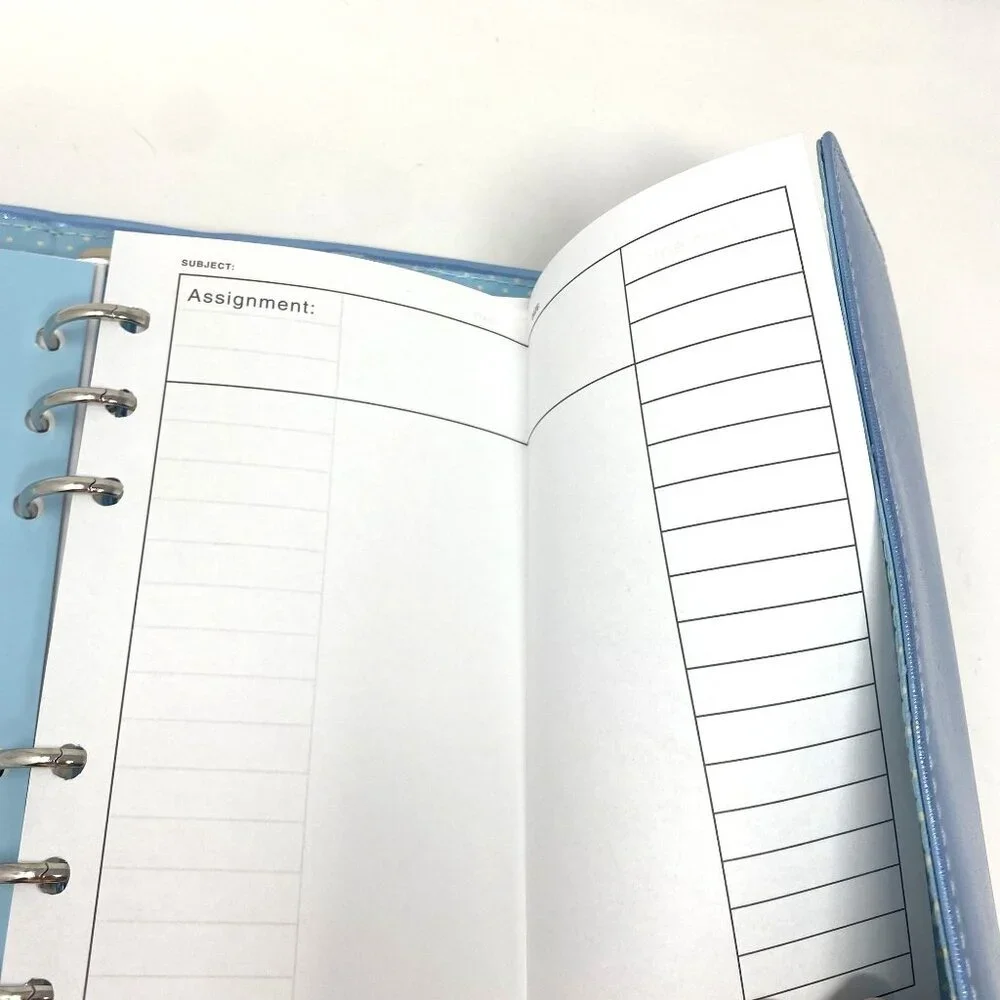 GAP vintage planner