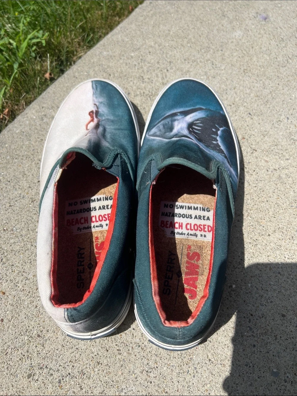 Sperry canvas slip