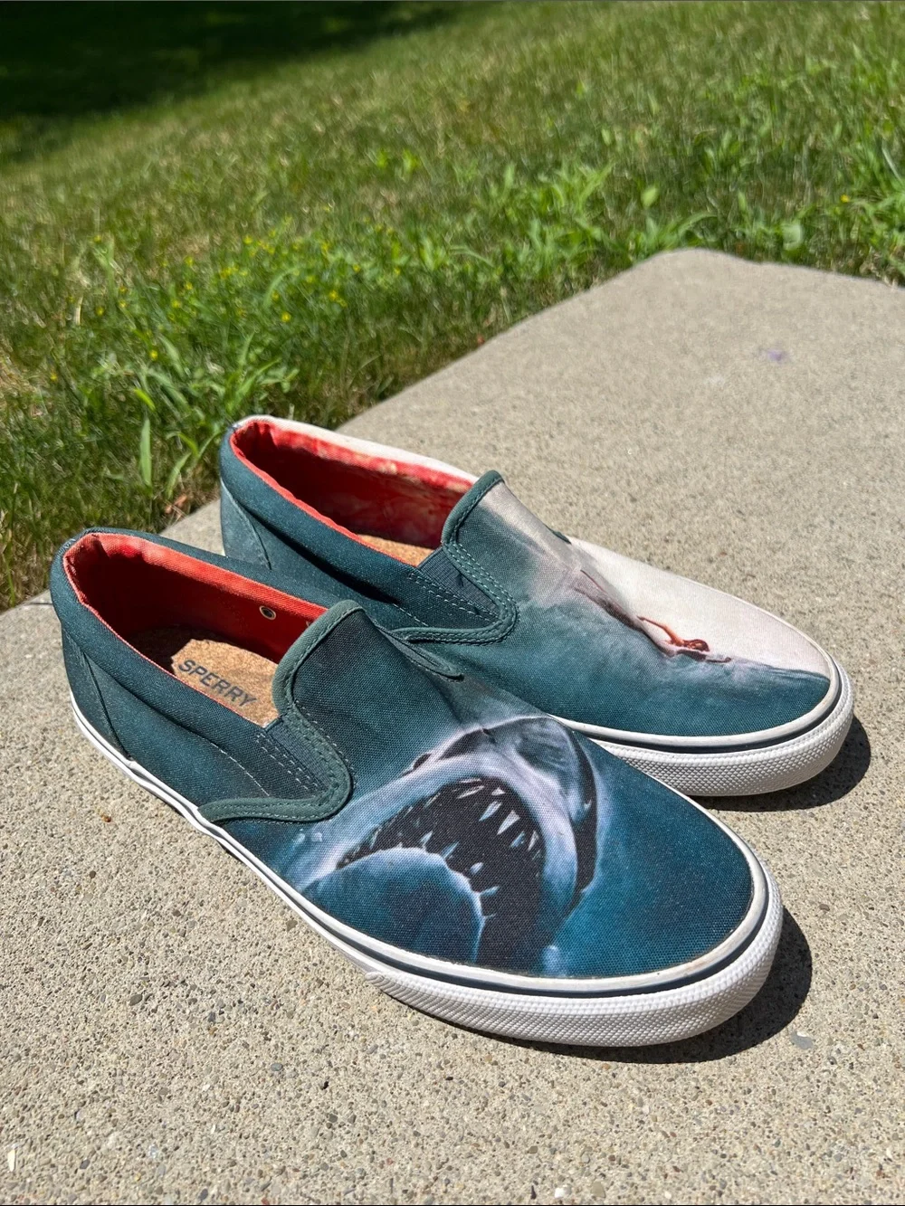 Sperry canvas slip