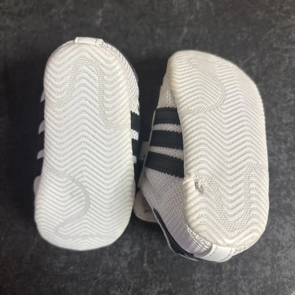 adidas while dog