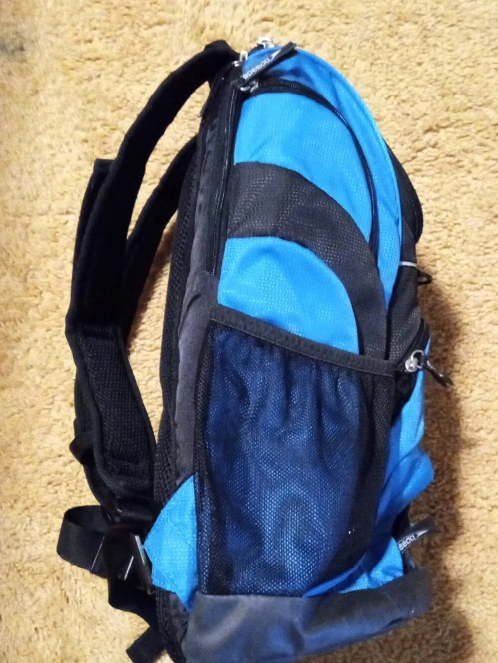 Speedo this 25l
