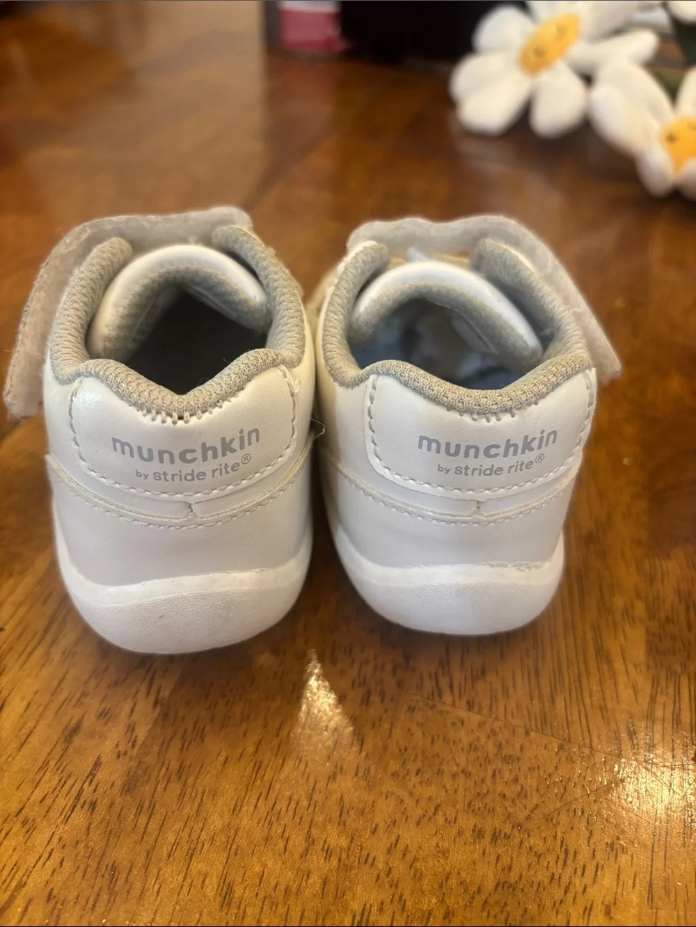 Stride Rite pairs loop