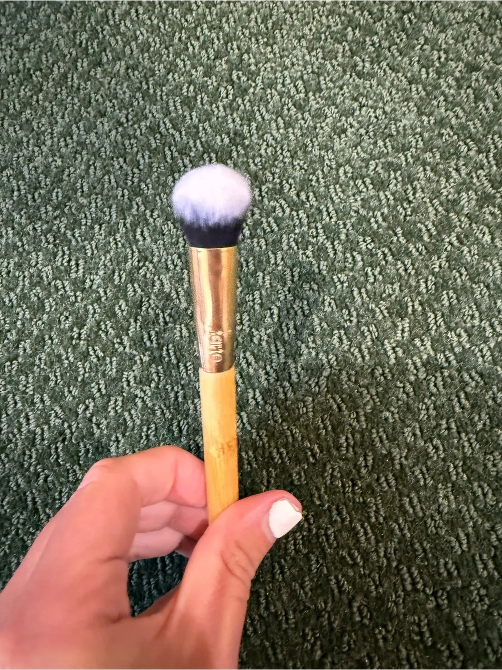 tarte concealer paw