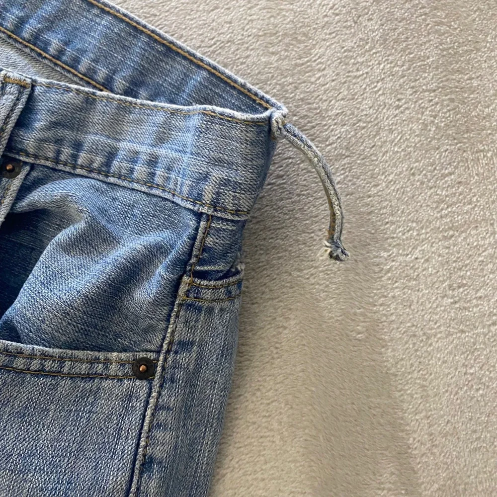 Levis levi 569