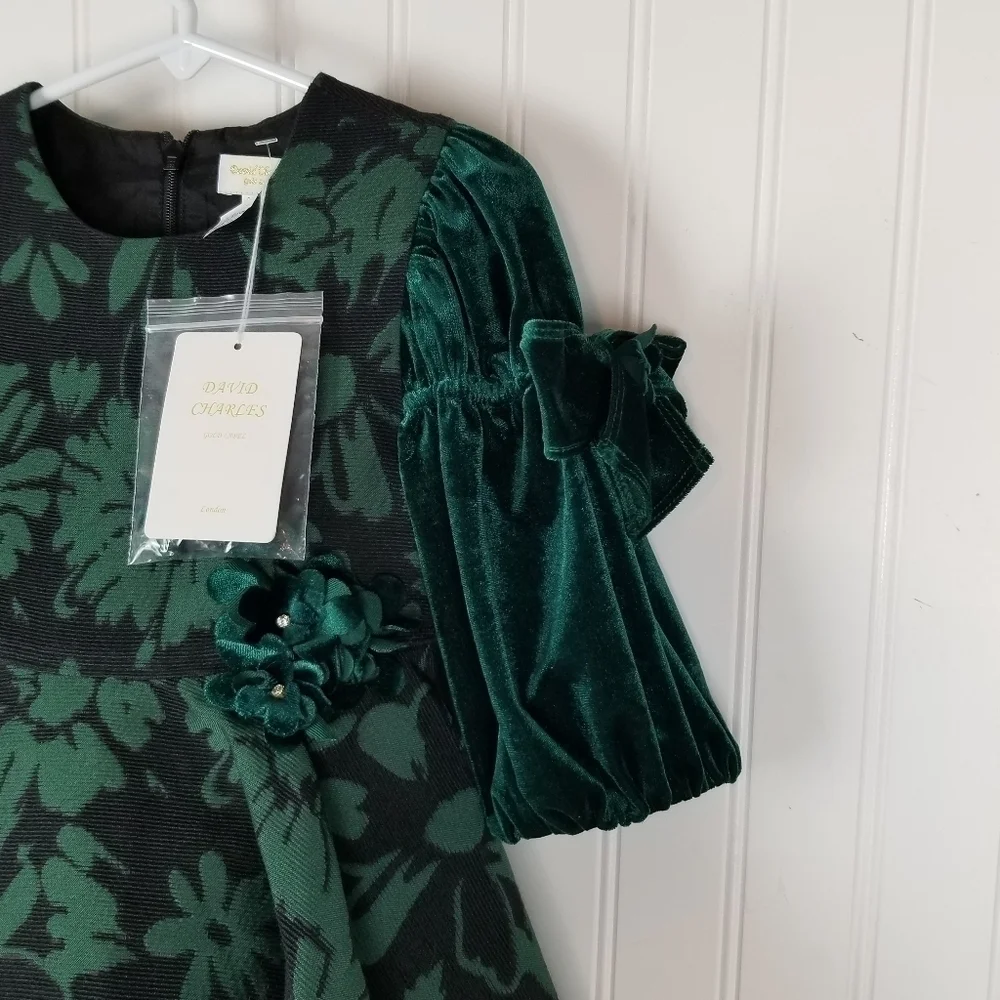 David Charles Girls 2 YRS Green Brocade Dress Jacquard Special Occasion Holiday