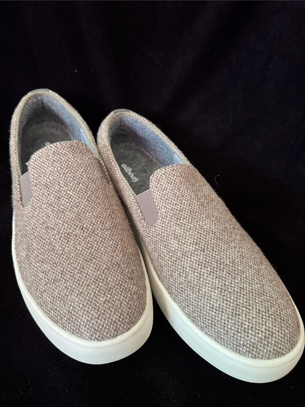 allbirds got them