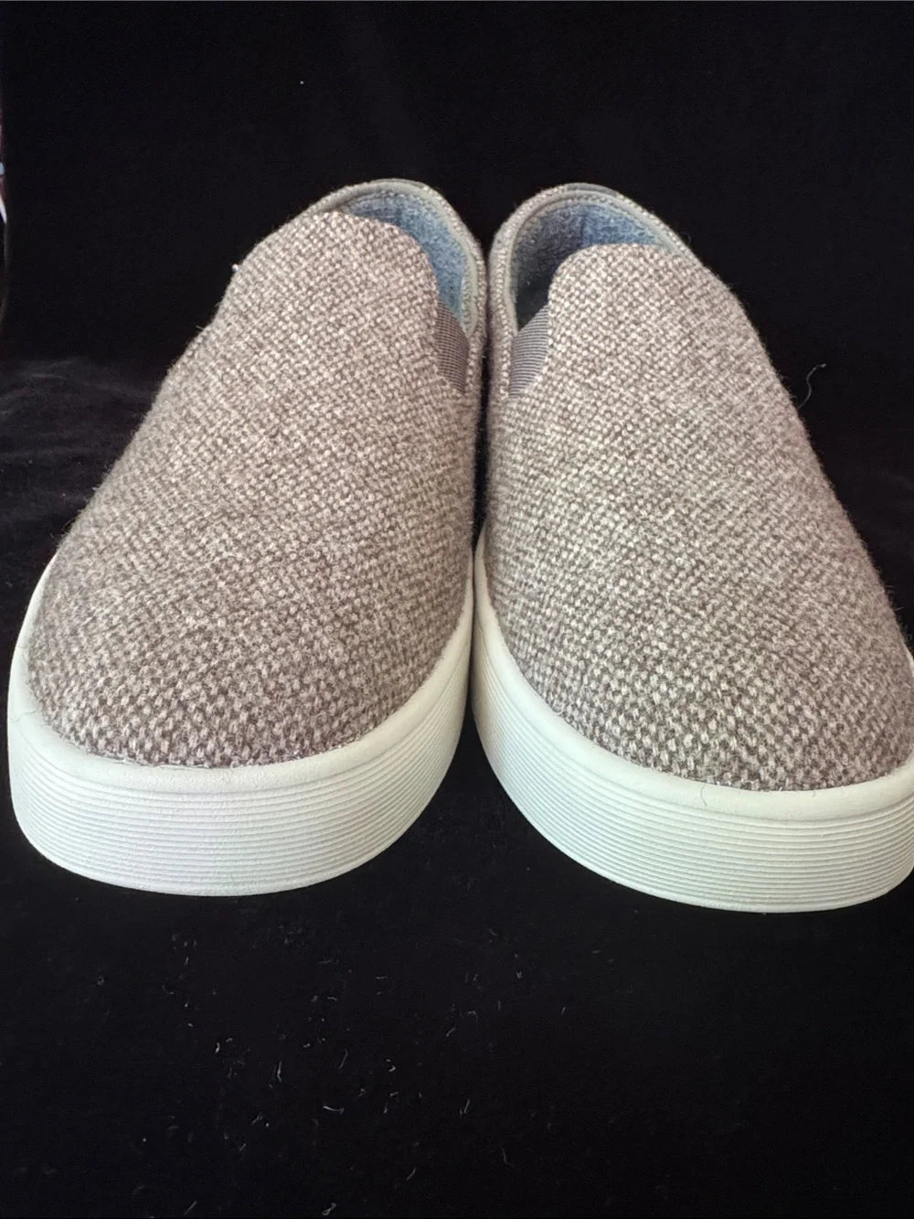 allbirds got them
