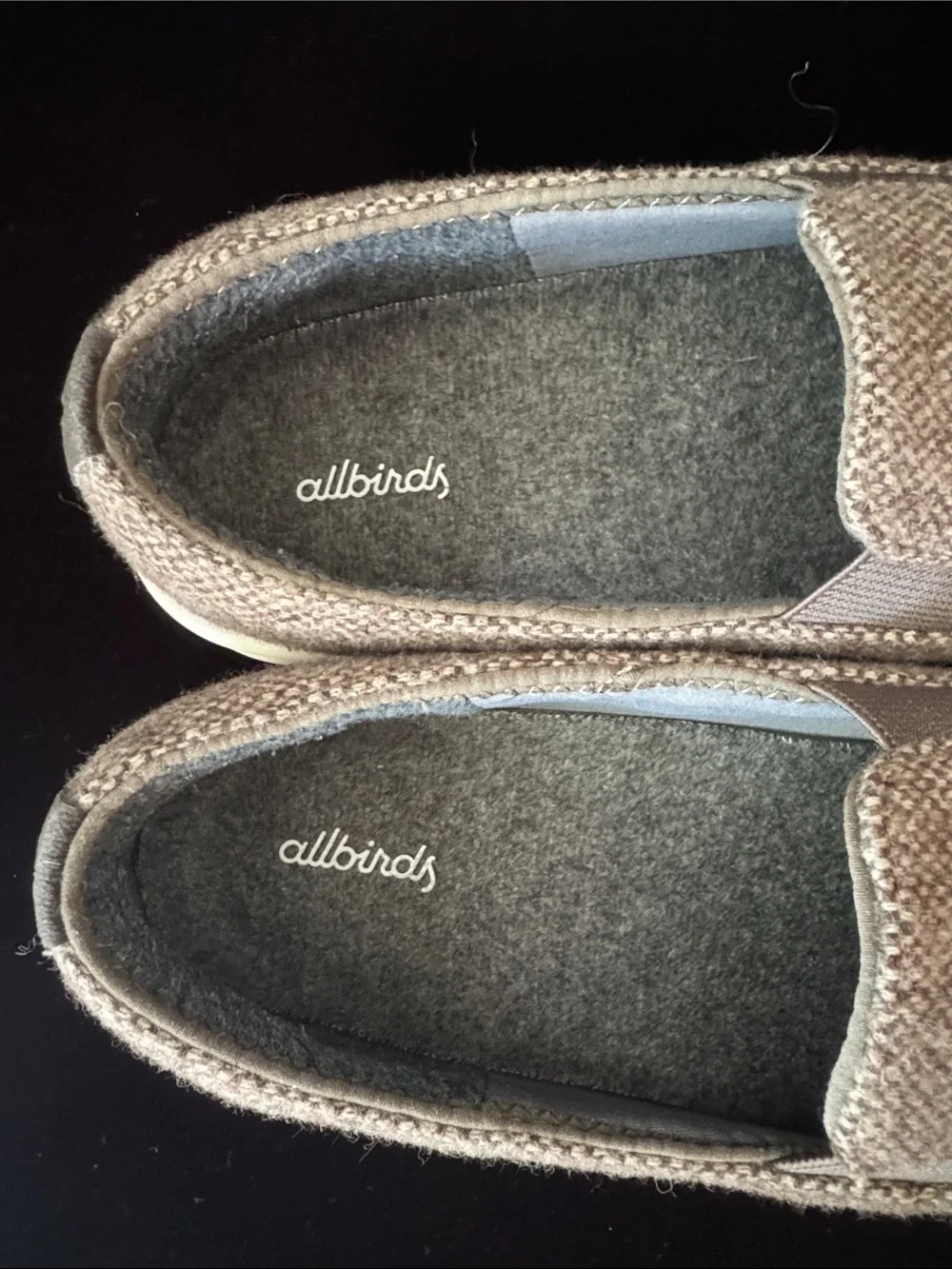 allbirds got them