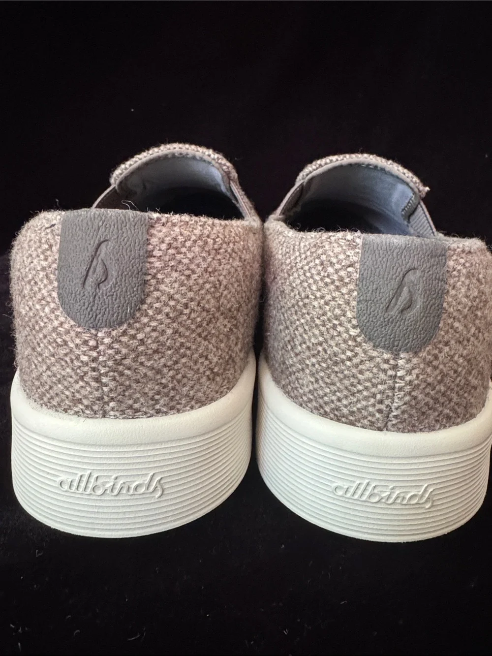 allbirds got them