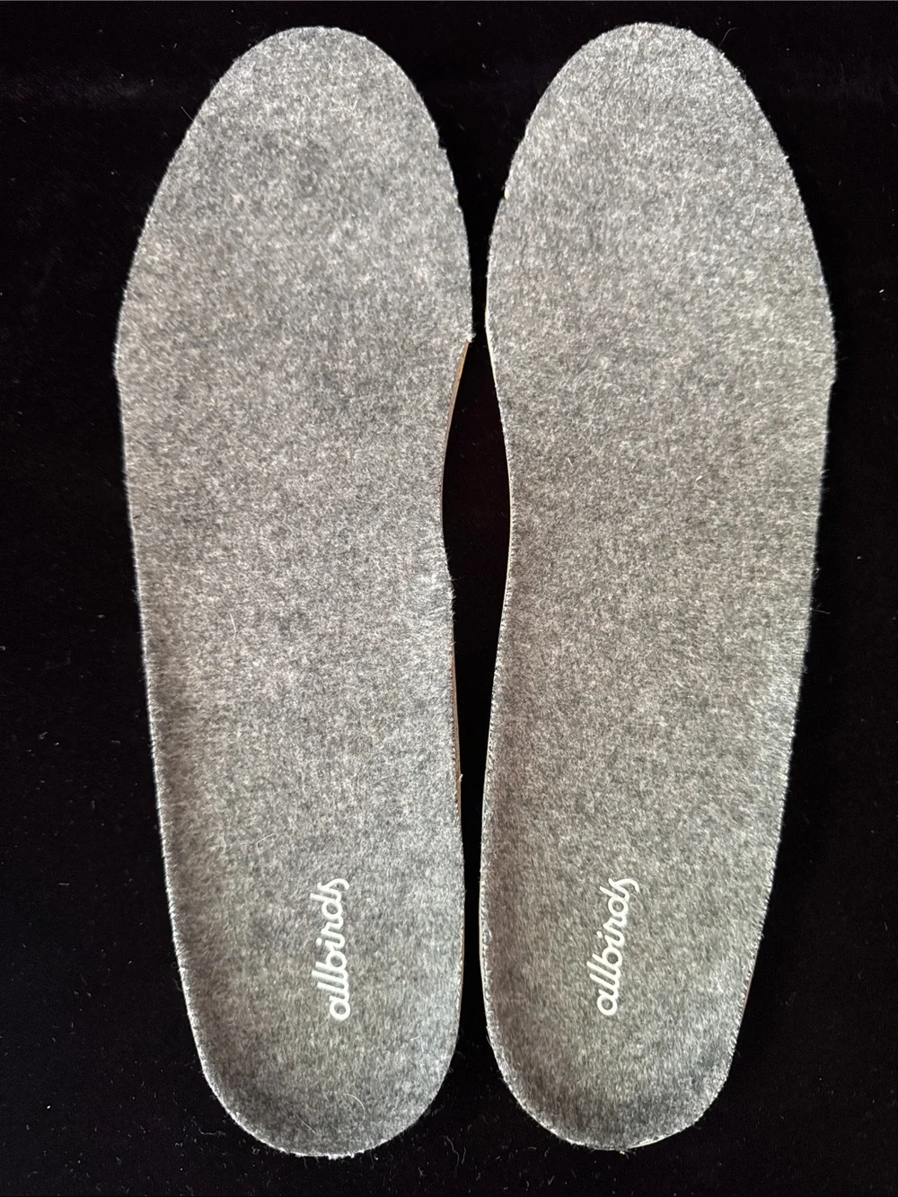 allbirds got them