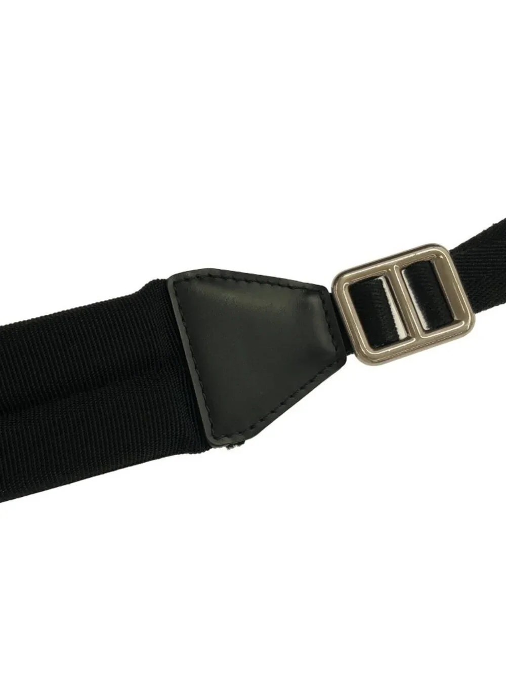 Louis Vuitton pet monogram
