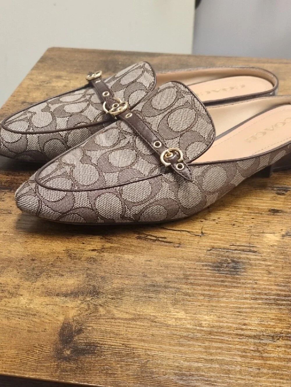 Coach slip mules
