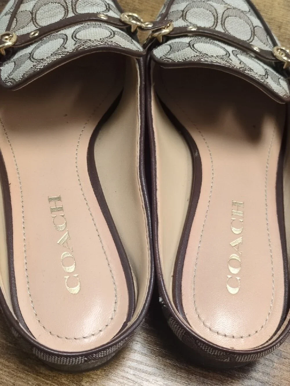 Coach slip mules