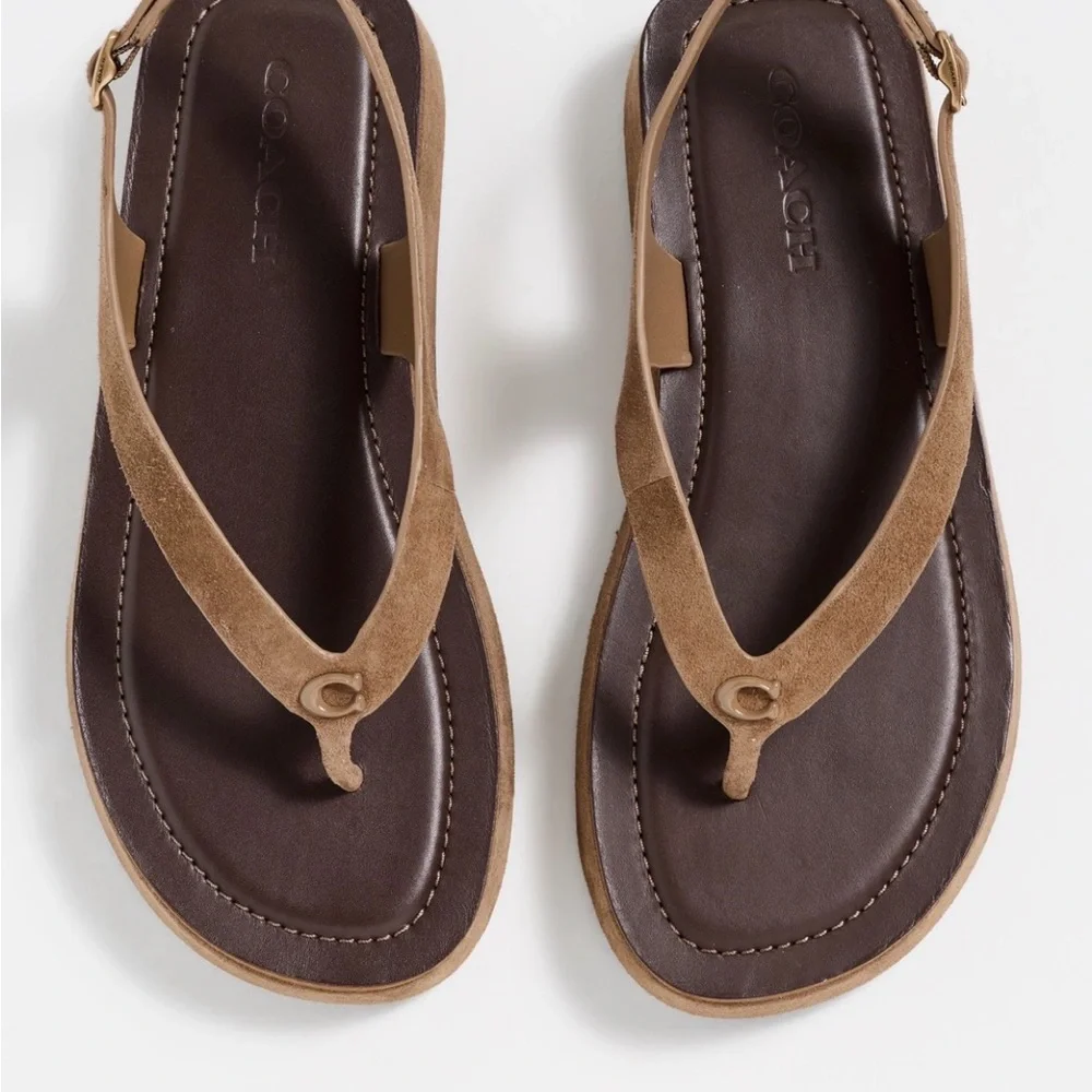 Coach Sculpted C Platform Suede Thong