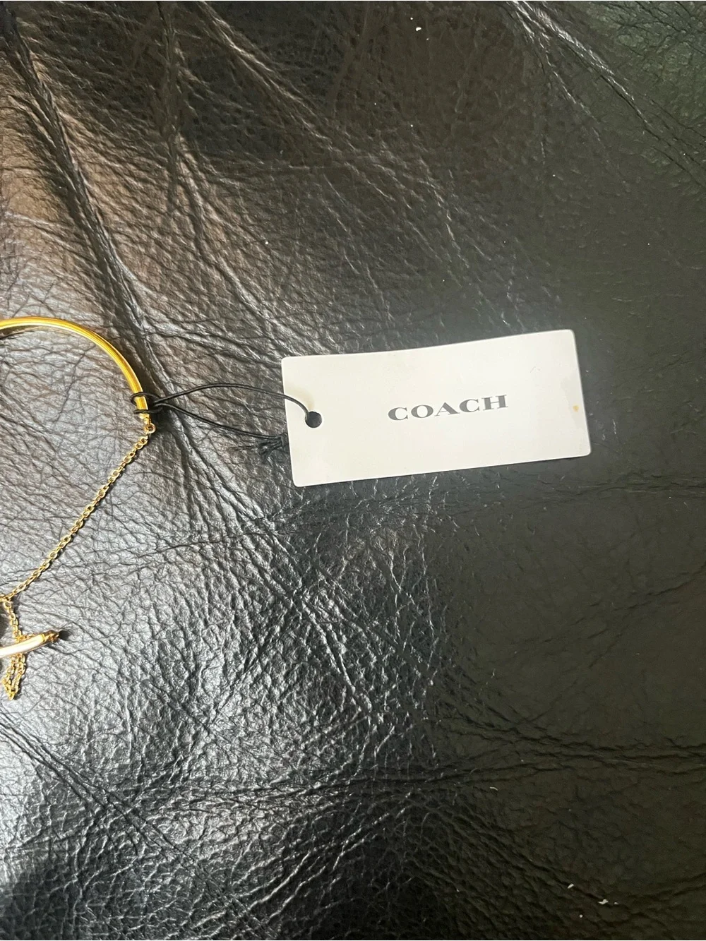 New Coach Cherry Charm Bangle Bracelet