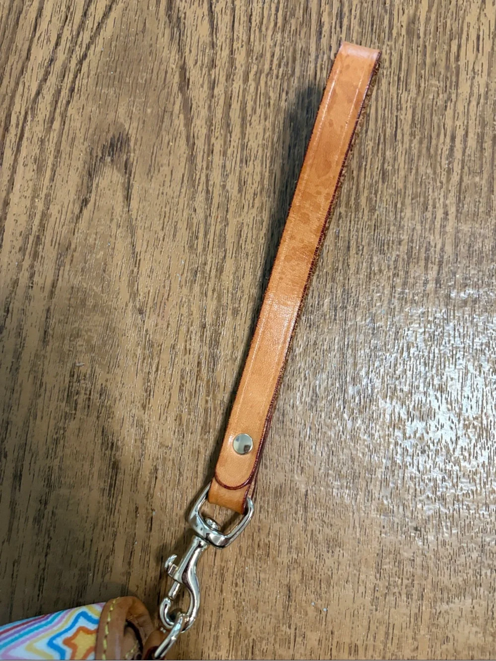 Colorful Dooney & Bourke Wristlet Clutch