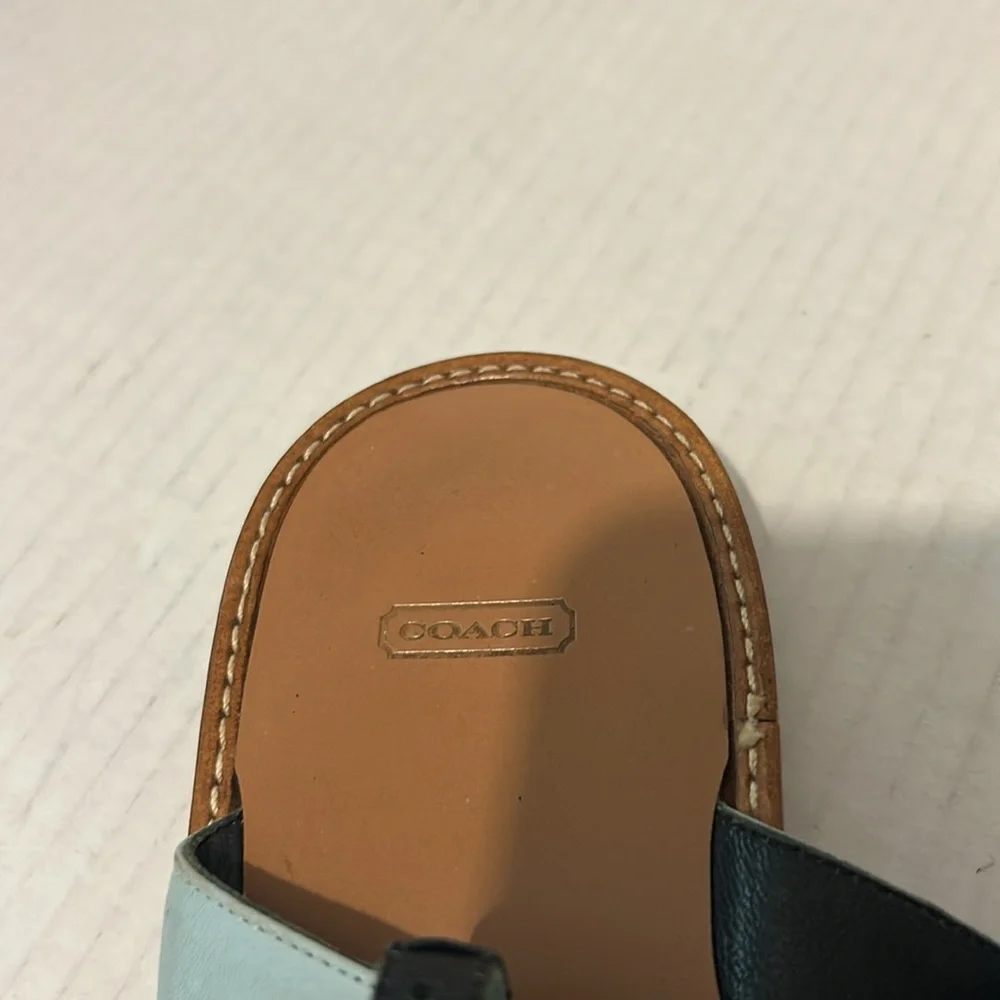 Coach small discoloration