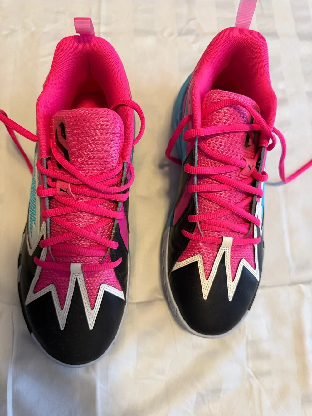 Puma great